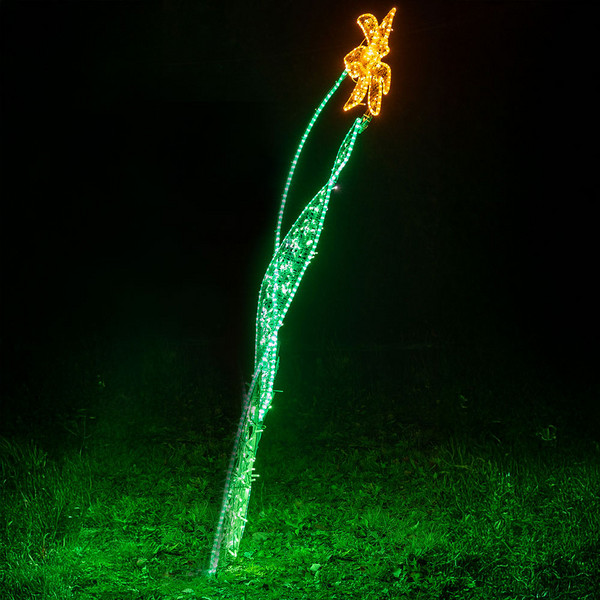 Narzisse
