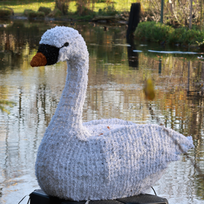 Schwan