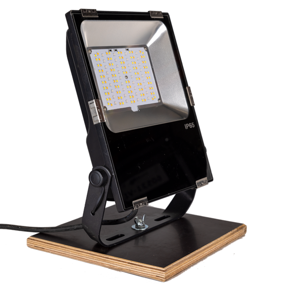 Mii Fluter RGB CCT 100W
